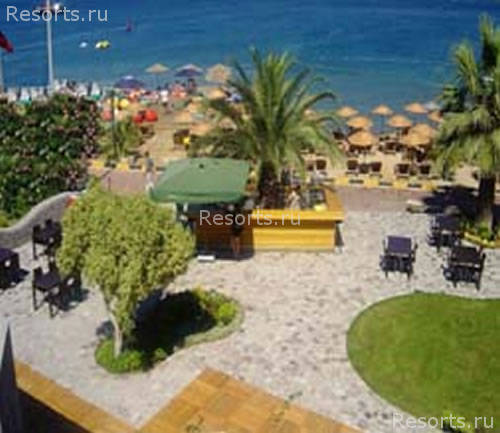 Costa Farilya Deluxe 5